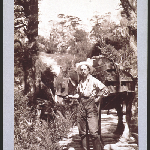 Cover image for [John Watt Beattie holding a packhorse]